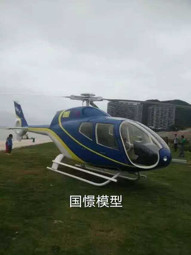 宜黄县飞机模型